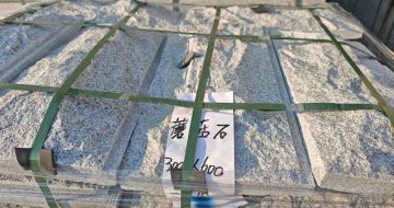 忻州芝麻白蘑菇石，自然面